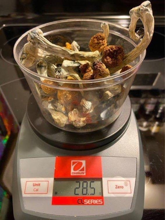 Koop paddenstoelen online in rotterdam - Image 6