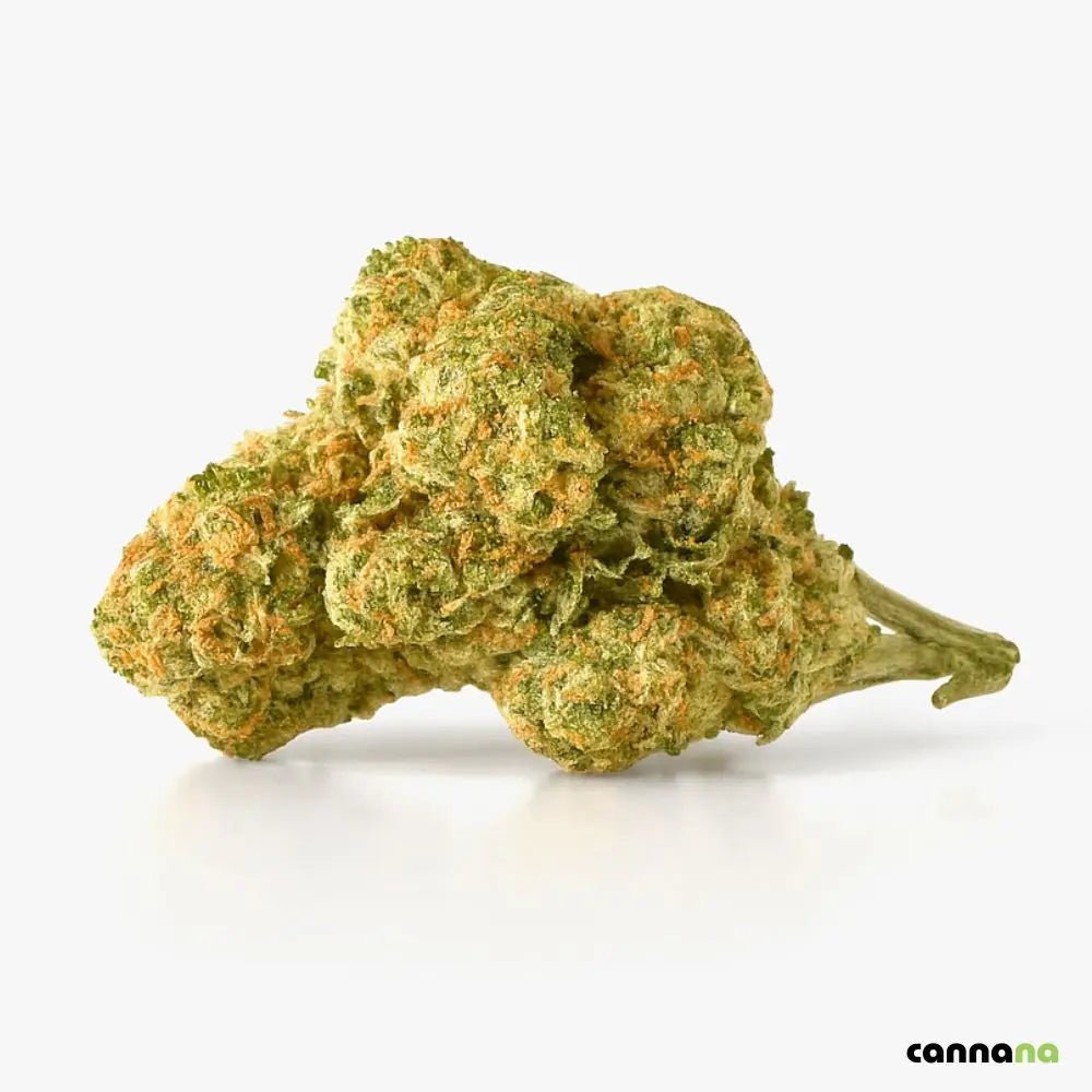 Amnesia Superior Blend 40% ðŸ§