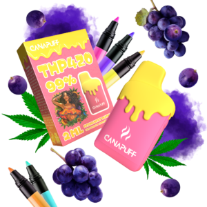 Permanent Marker 99% THP420 - Canapuff - Eenmalig gebruik - 2ml