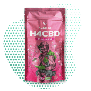 CanaPuff - Dabbalicious 50% - H4CBD Bloemen